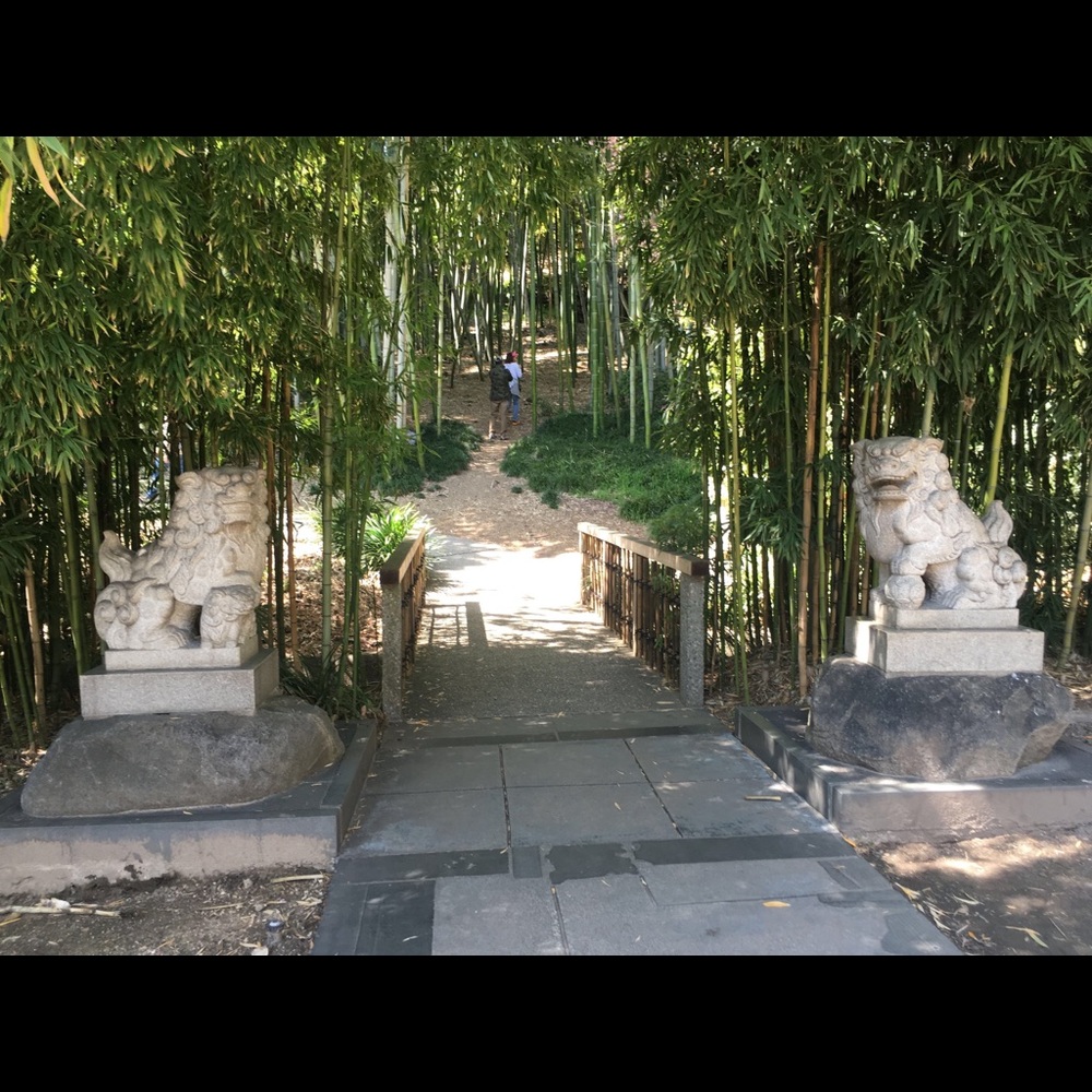 Meet your Posher, Jay